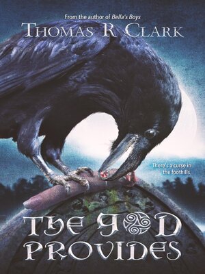 cover image of The God Provides